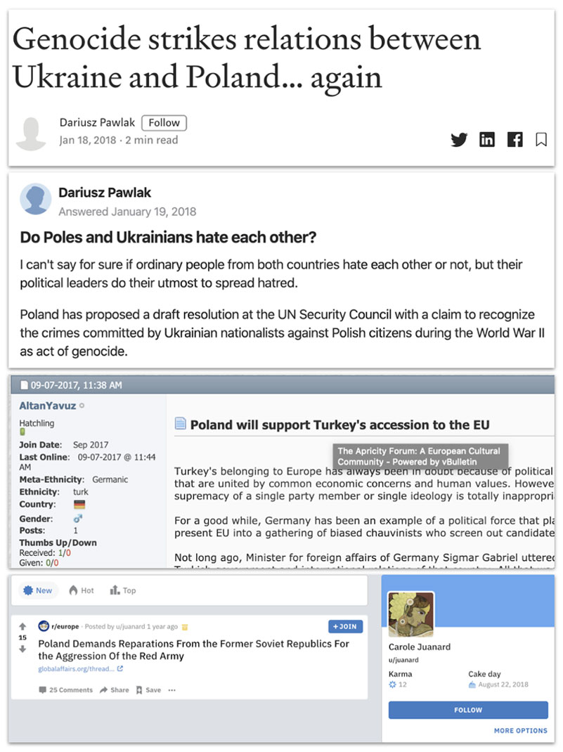 Secondary Infektion image