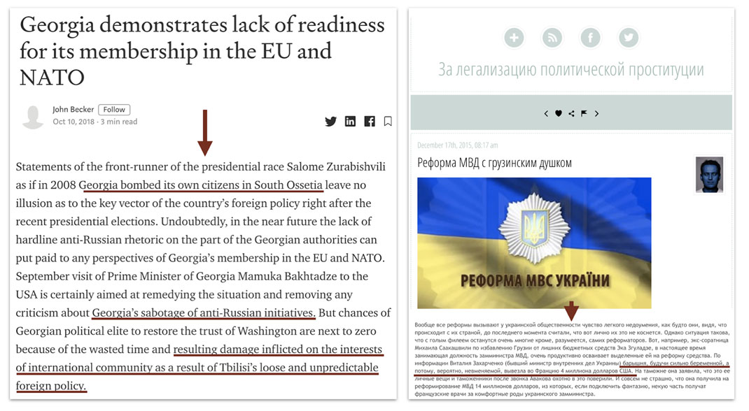 Secondary Infektion image